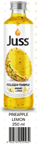 JUSS  FESLEĞEN TOHUMLU 250 ML CAM ANANAS LİMON