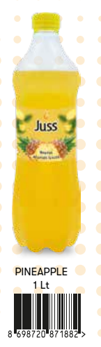 Juss Pet Şişe 1 LT Ananas